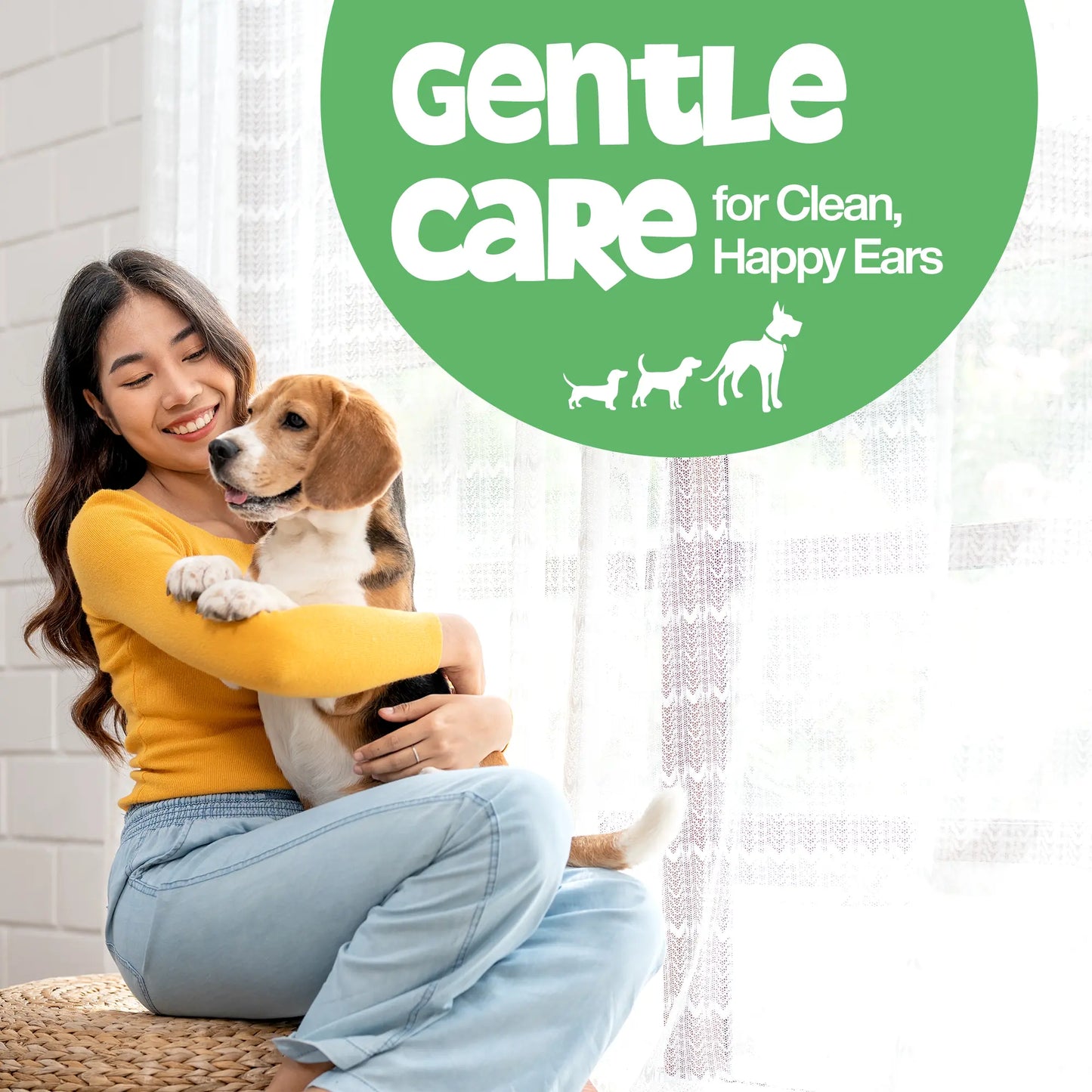 Roofus Dog Ear Wipes with Eucalyptus and Aloe - 100 Count