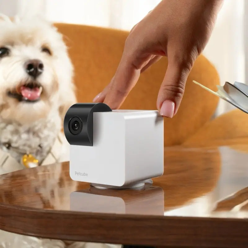 Petcube Cam 360 | Interactive Wifi Pet & Home Security Camera with 1080P HD, 360° View, Night Vision & 2-Way Audio