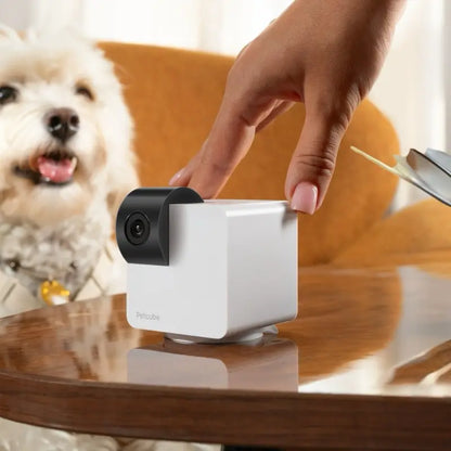 Petcube Cam 360 | Interactive Wifi Pet & Home Security Camera with 1080P HD, 360° View, Night Vision & 2-Way Audio