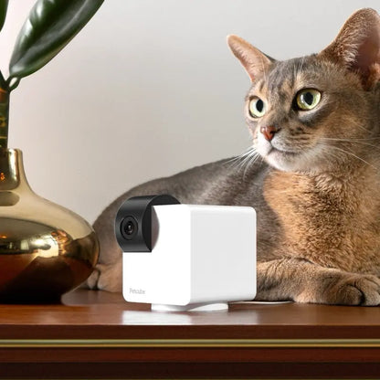 Petcube Cam 360 | Interactive Wifi Pet & Home Security Camera with 1080P HD, 360° View, Night Vision & 2-Way Audio