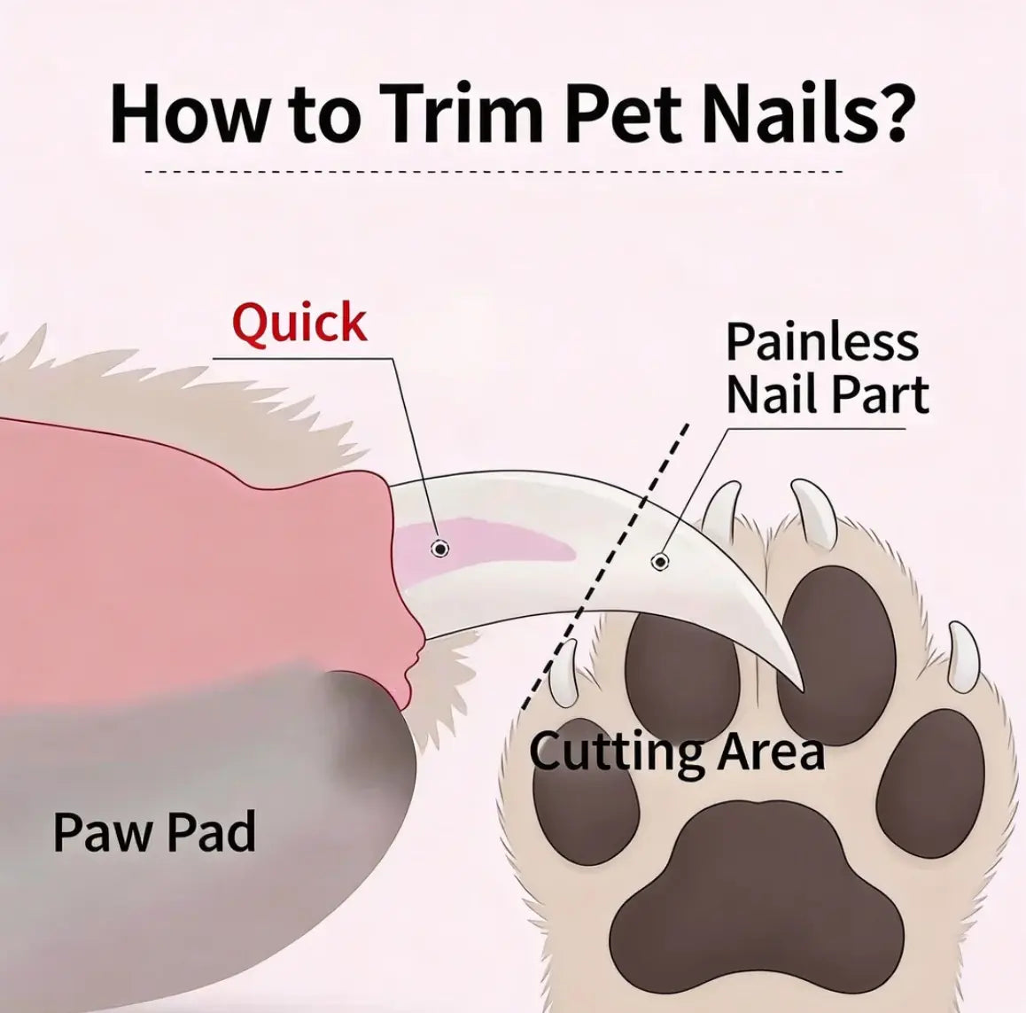 Pet Nail Clippers with LED Light & Built-In Nail Grinder – 2-In-1 Dog Cat Nail Trimmer with Illuminated Blade, Low Noise Electric File, Safety Guard & Catcher | Professional Grooming Tool for Small Medium Large Pets Summervibes Petlovers