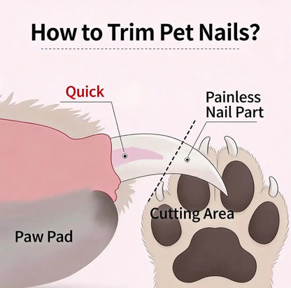 Pet Nail Clippers with LED Light & Built-In Nail Grinder – 2-In-1 Dog Cat Nail Trimmer with Illuminated Blade, Low Noise Electric File, Safety Guard & Catcher | Professional Grooming Tool for Small Medium Large Pets Summervibes Petlovers